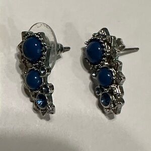 Chic Blue and Silver Stud Earrings
